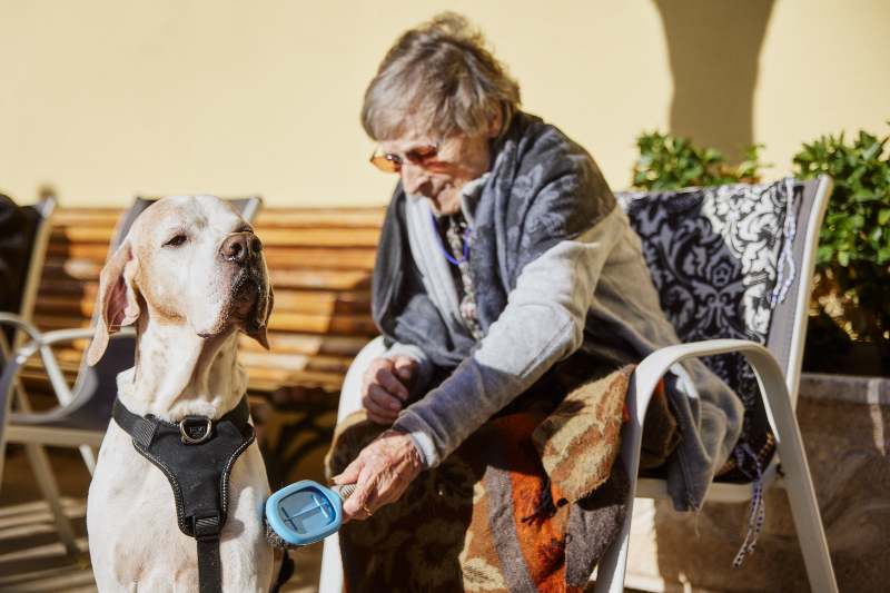 anciana peinando a un perro